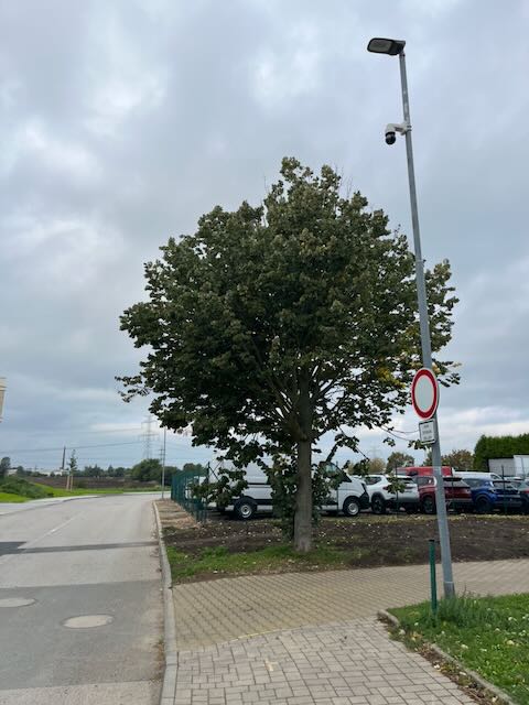 Lípa dostala zabrat