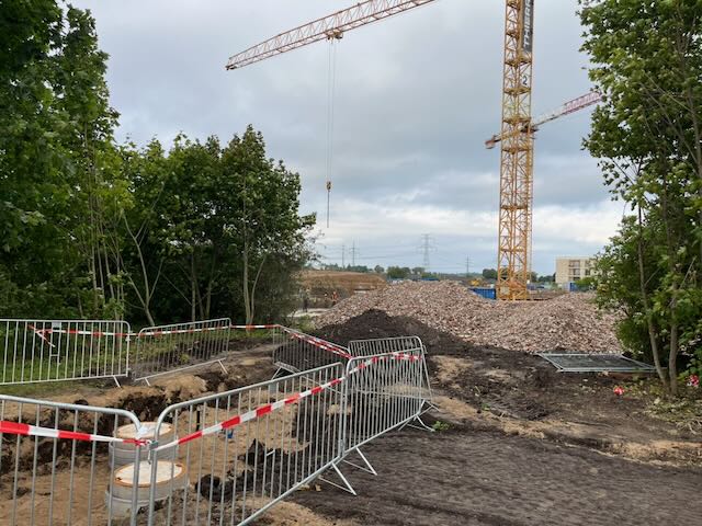 Opět rozkopáno bez ochrany zeleně